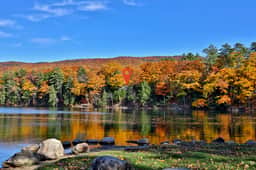 Lakeside Lodge at Fern Lake - Image 3
