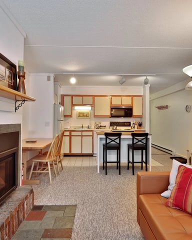 Compact living room with fireplace and kitchen