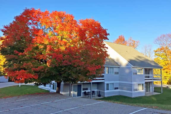 Modern Killington Farmhouse Condo: Close to it all! 412 - Image 1