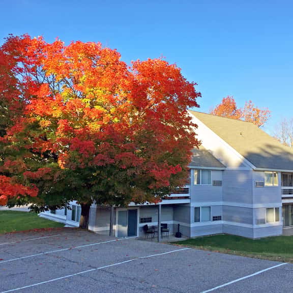 Modern Killington Farmhouse Condo: Close to it all! 412 - Image 1