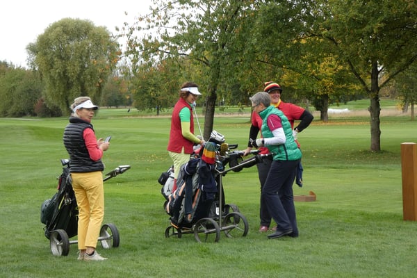 Plan for Mixed Groups