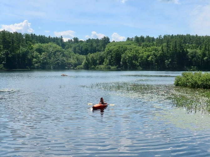 Lake Dunmore and Middlebury