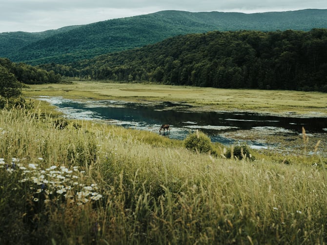 Appalachian Trail Adventures